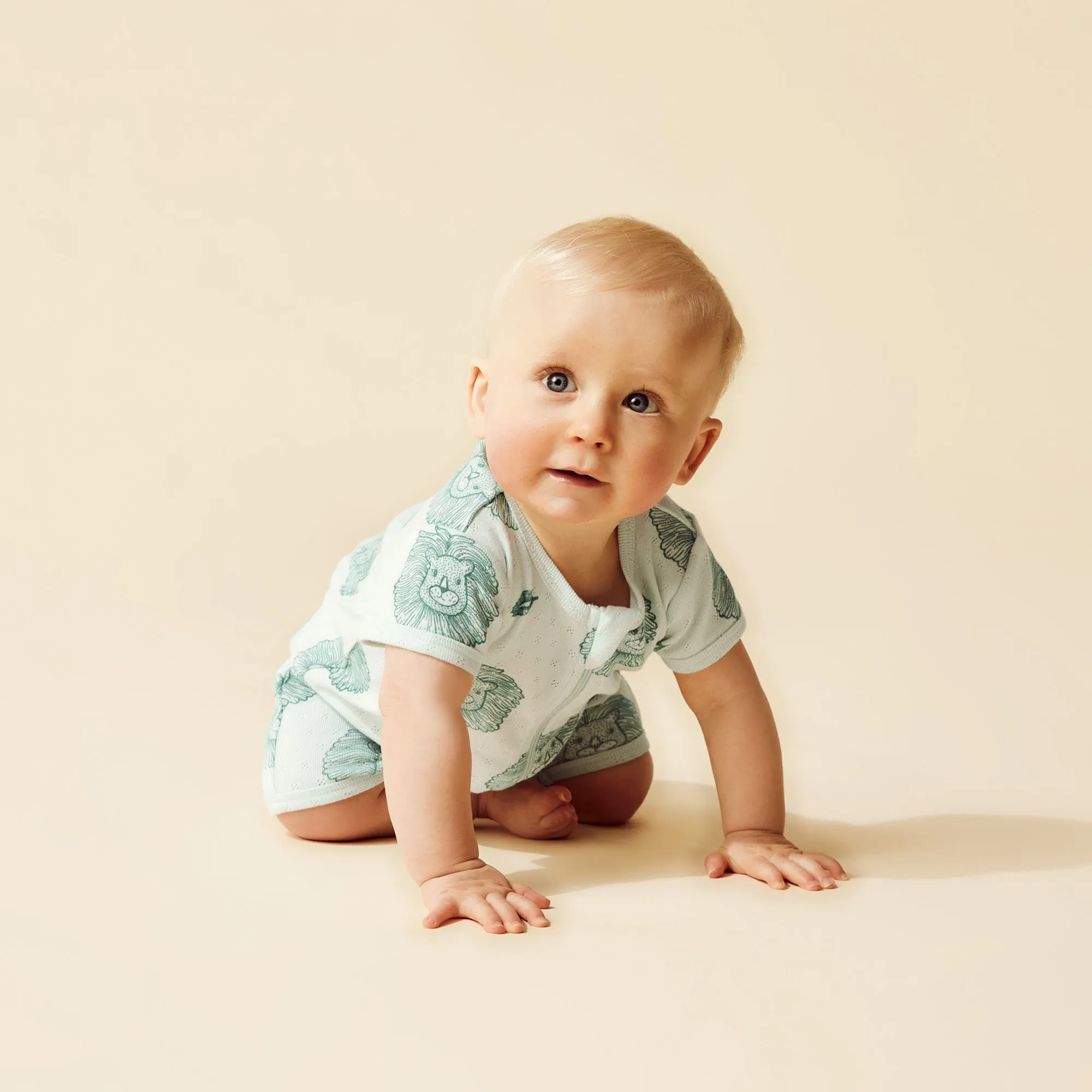 Wilson and Frenchy Little Lion Organic Pointelle Boyleg Zipsuit